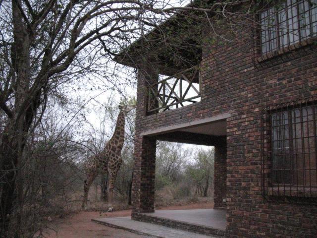 Crowe'S Nest Villa Marloth Park Exterior photo